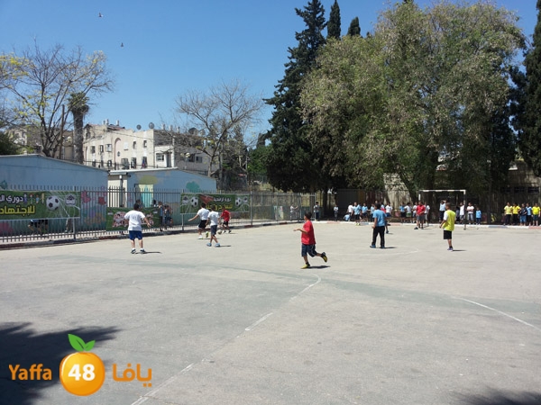 dawry tasamo7 lud (3).jpg